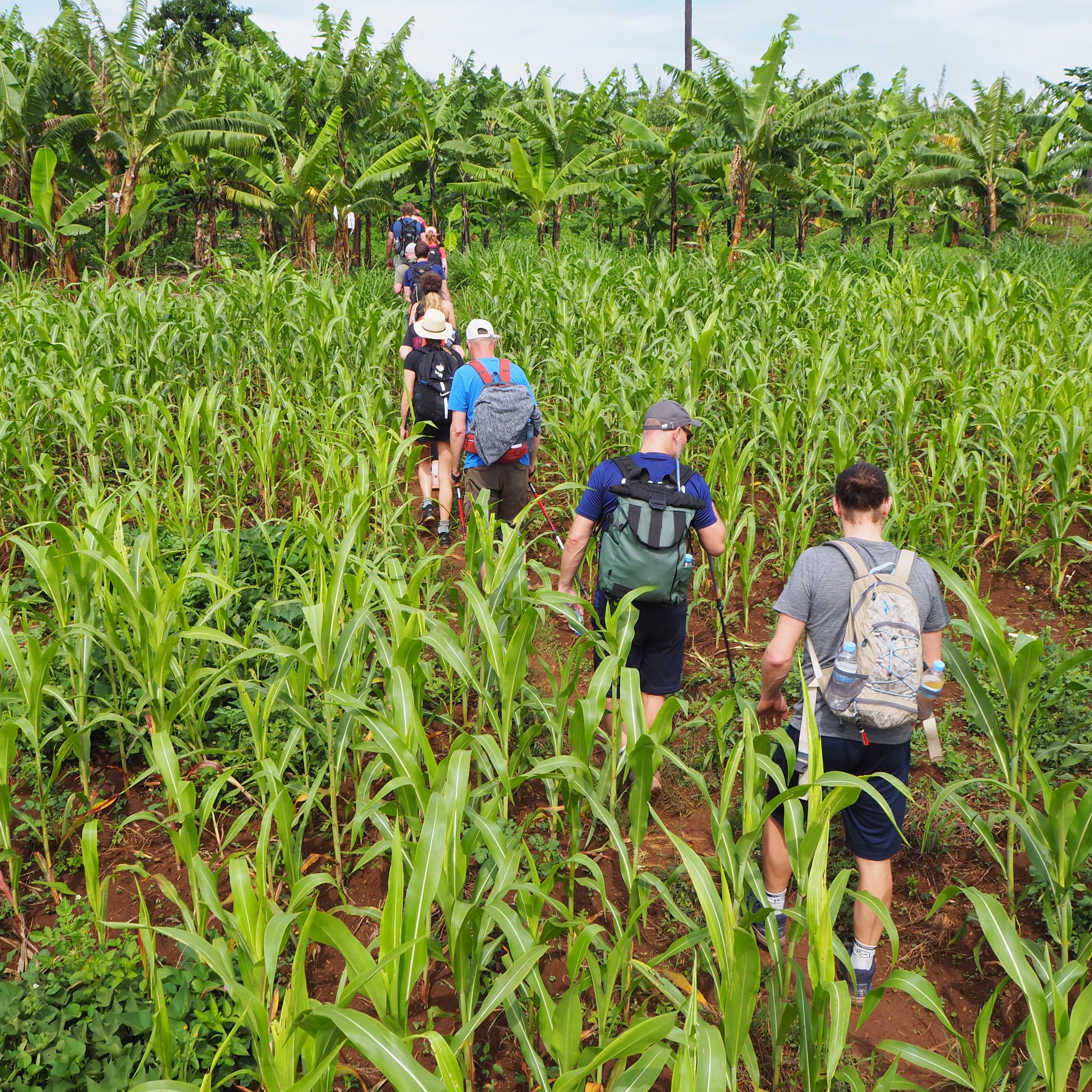 The Coffee Factory; gebrand op service!— The Coffee Factory (TCF)