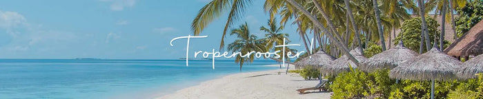 The Coffee Factory tropenrooster! Beperkt open op zaterdagen!