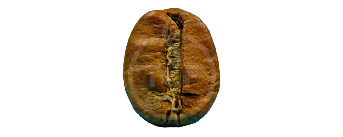 Welke koffieboon moet je nou eigenlijk kiezen?