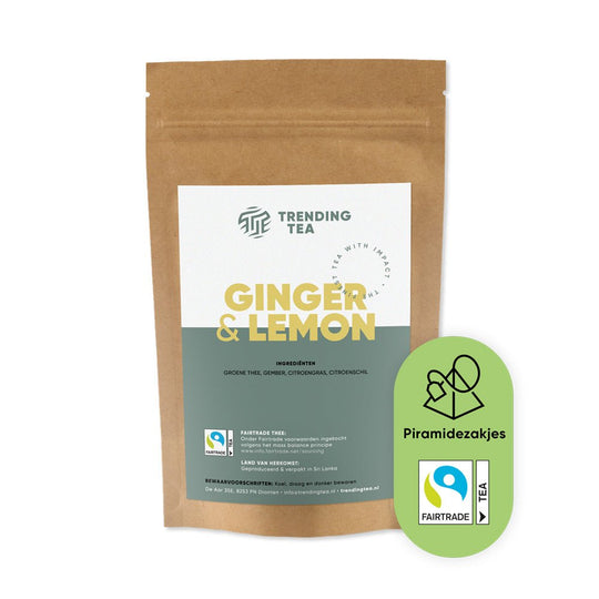 Trending Tea Ginger Lemon [100 piramides]